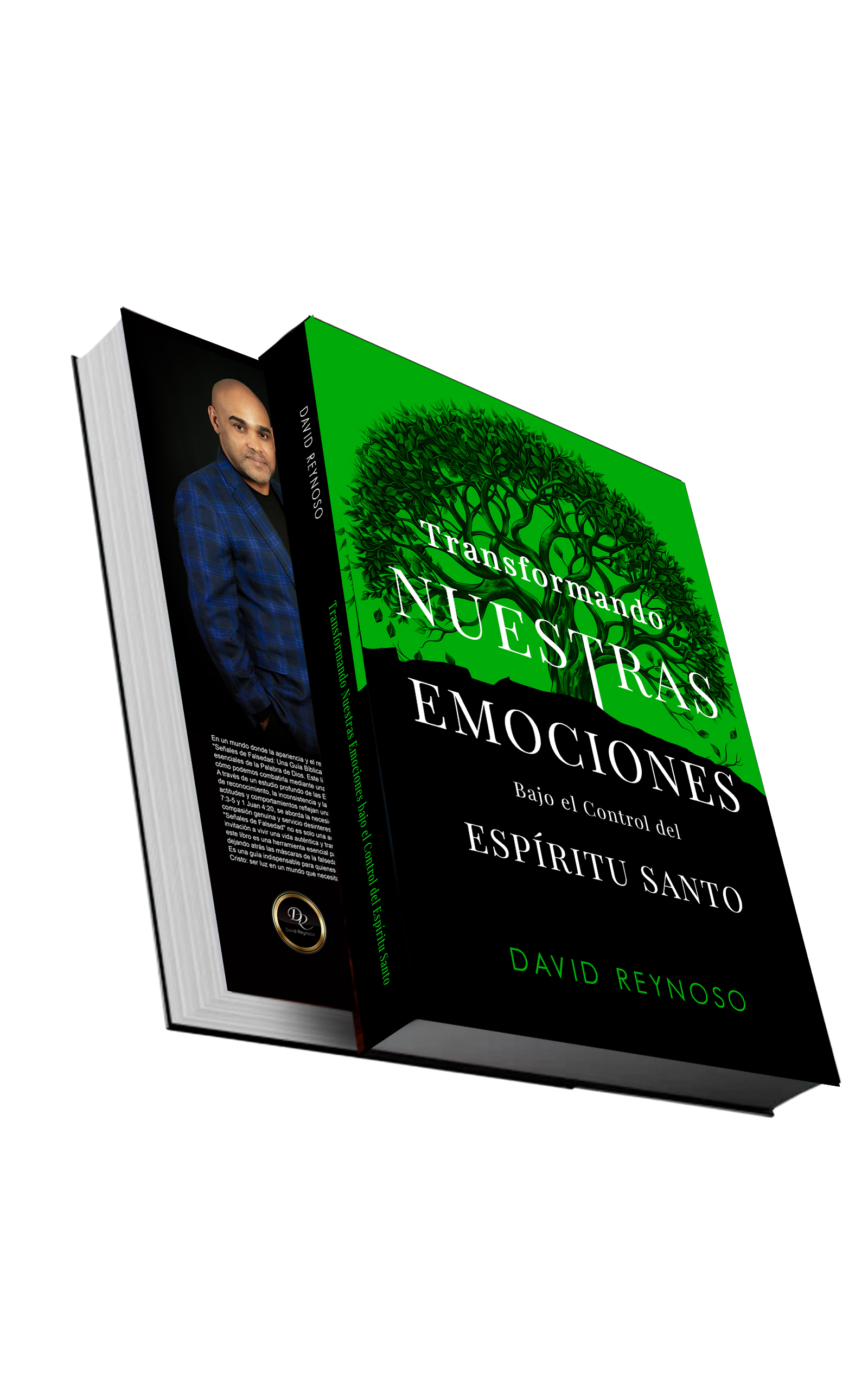 Book cover (2) copy